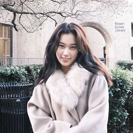 Xinrui (Lily) Li